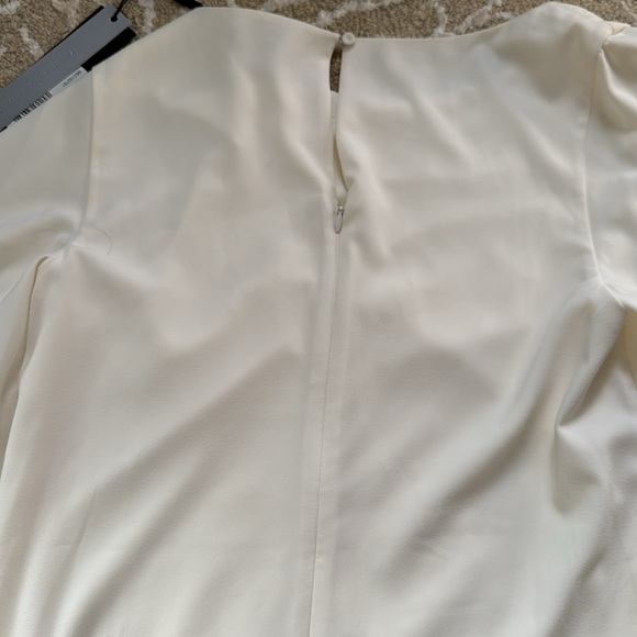 HALSTON HERITAGE Ivory Diagonal Drape Cape Dress (Size 10) - Picture 5 of 9